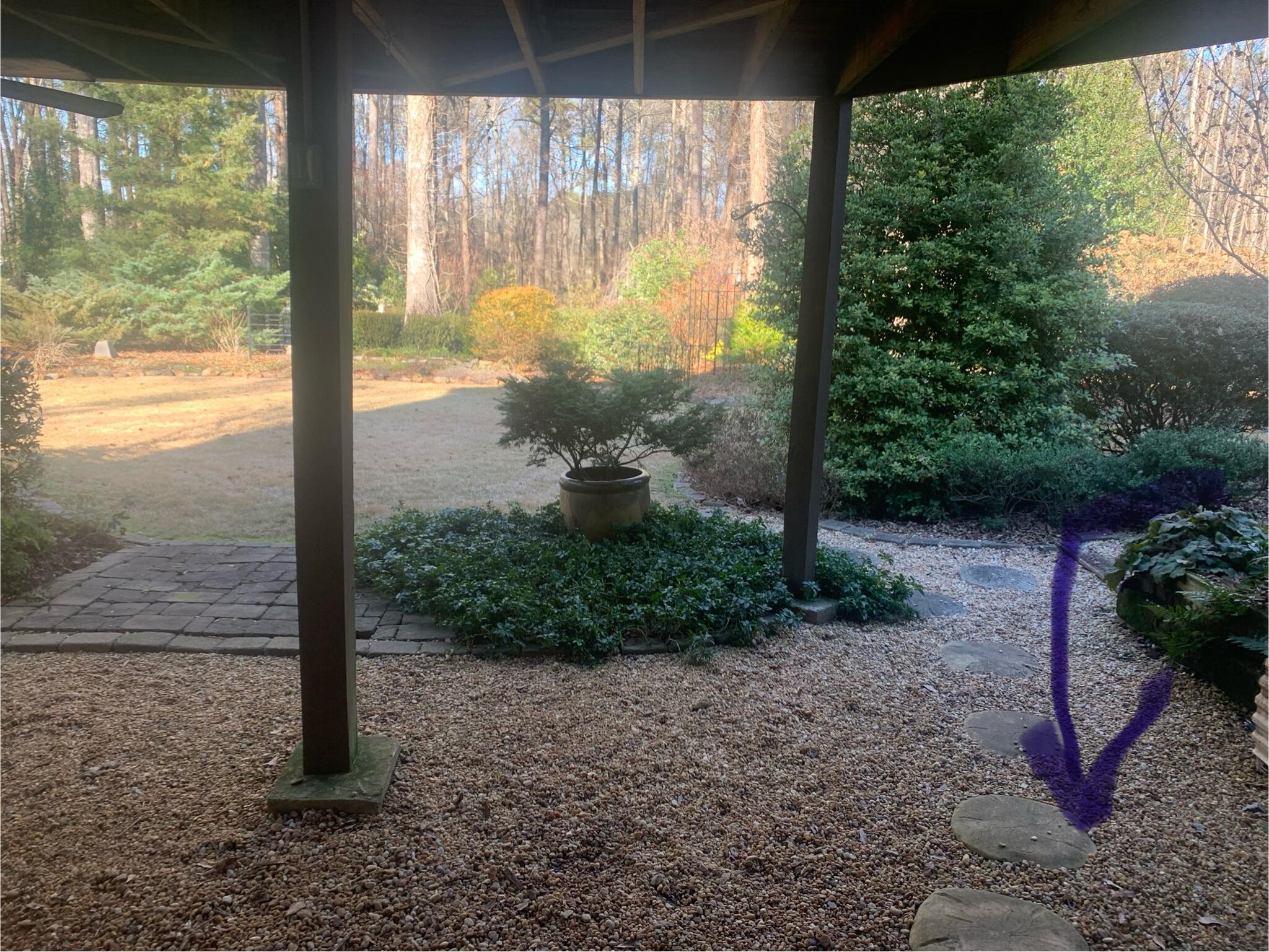 One bedroom 900 sf basement apartment for rent for 1200 in Loganville