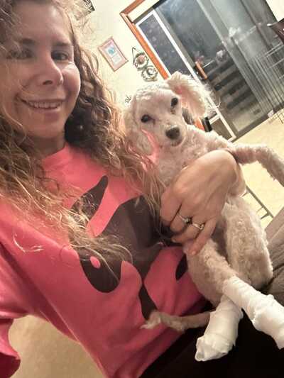 Our dog wash clearance and bakery