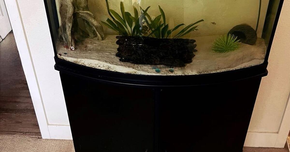 Fish Rehoming + Aquarium + Stand + Supplies for Free in Laguna Niguel