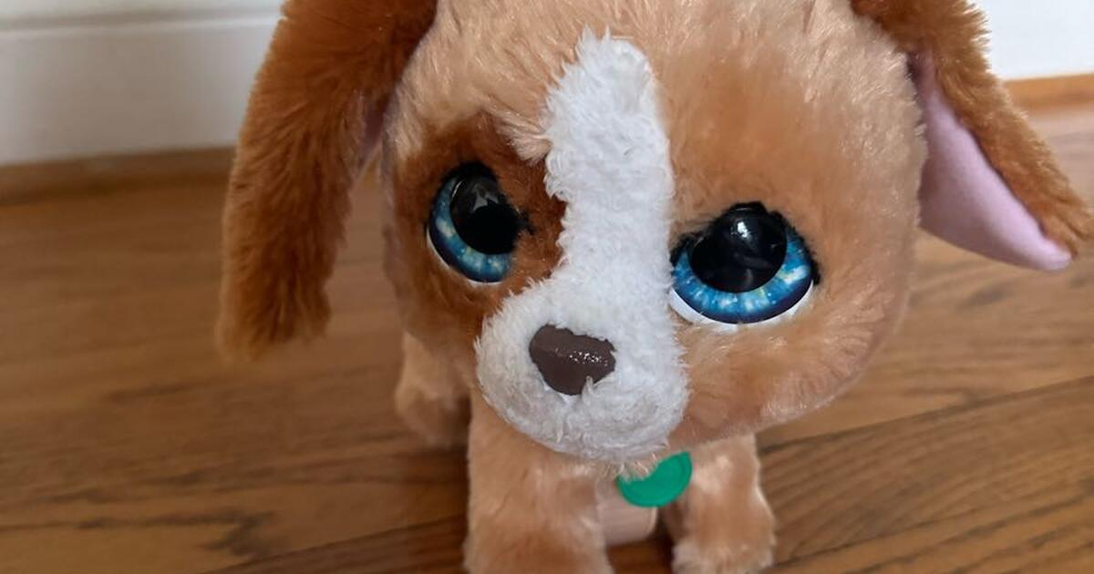 Fur Real Dog For 9 In Arlington VA For Sale Free Nextdoor Fur real dog for 9 in arlington va for sale free nextdoor