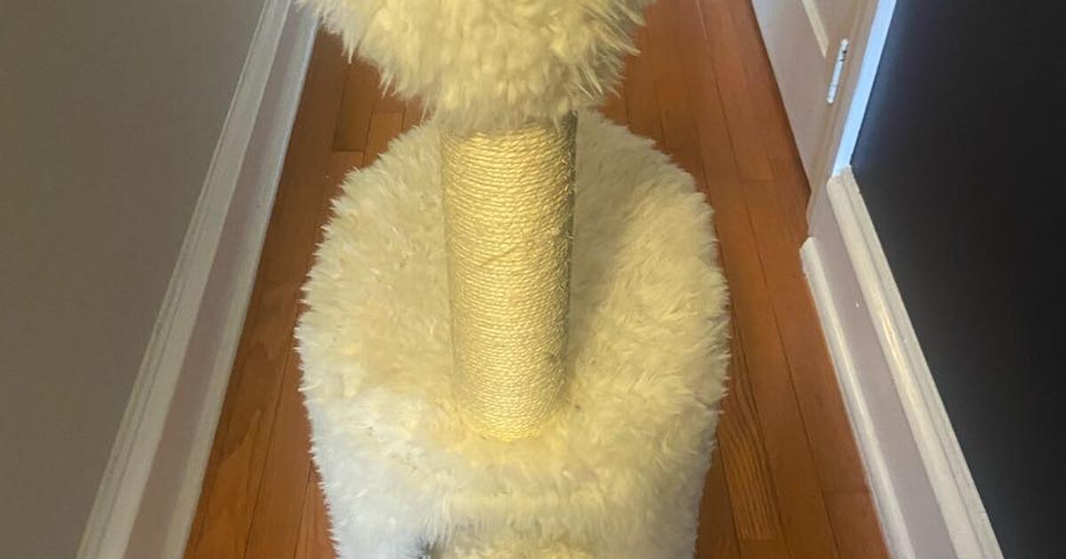 Llama cat tower for 20 in West Norriton, PA Finds — Nextdoor