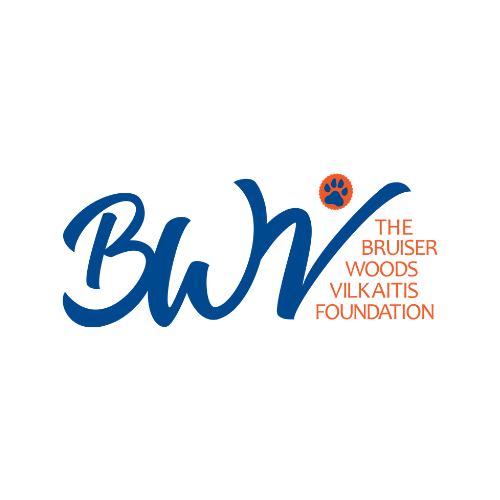 The Bruiser Woods Vilkaitis Foundation - Carlsbad, CA - Nextdoor