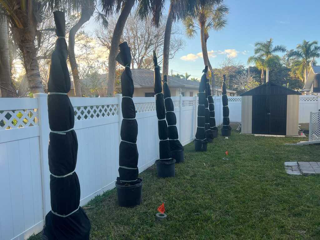 Sod and turf project