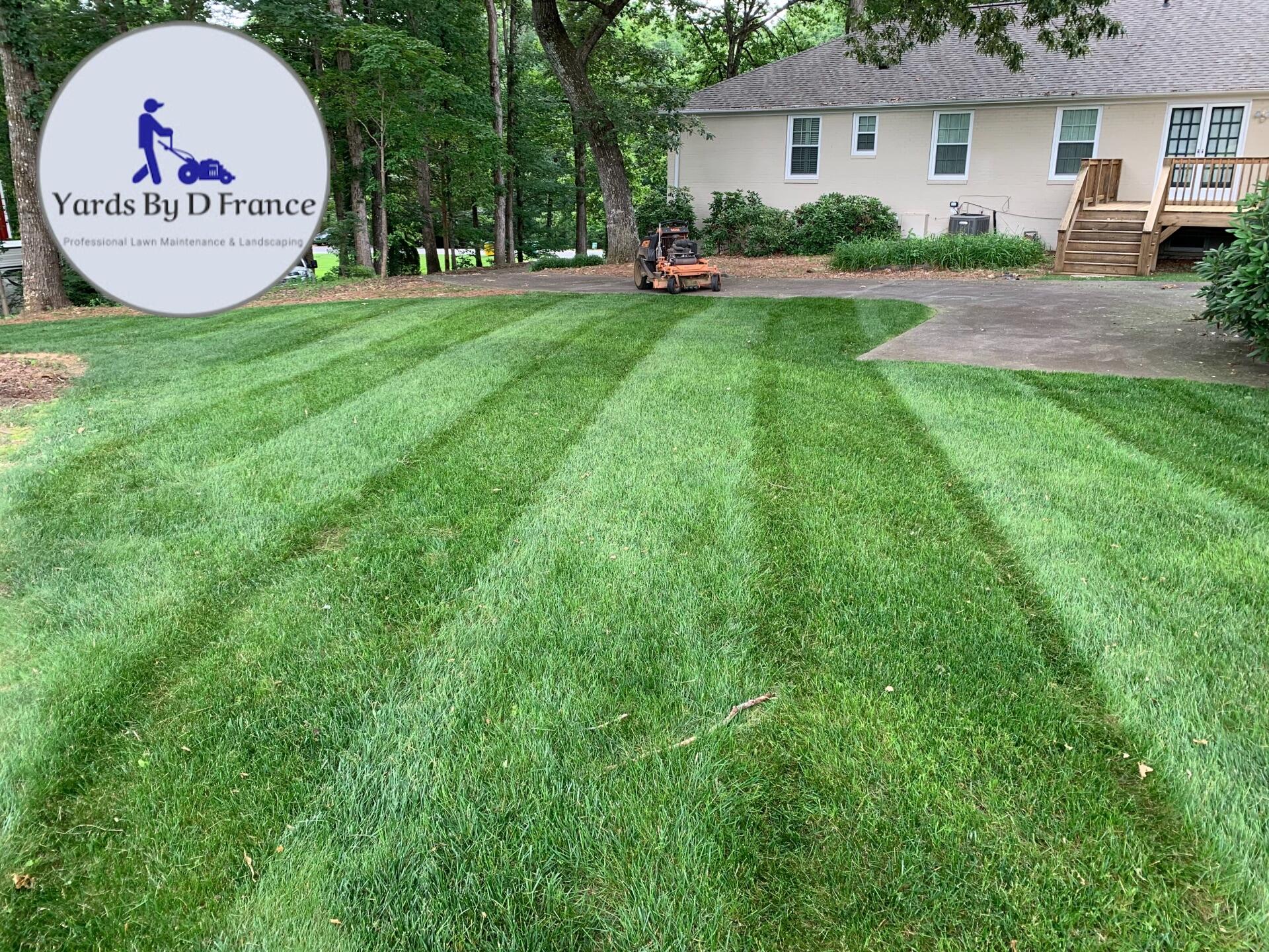 France lawn clearance care