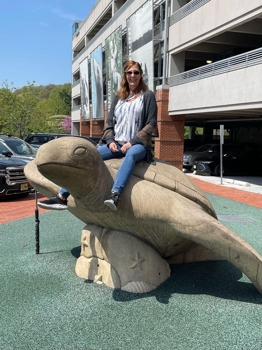 Looking for a straight girlfriend older then 40 to travel with. for