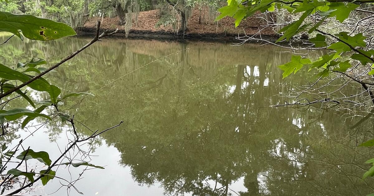 Nearly one acre of land on a tidal creek in Meggett! for 125000 in