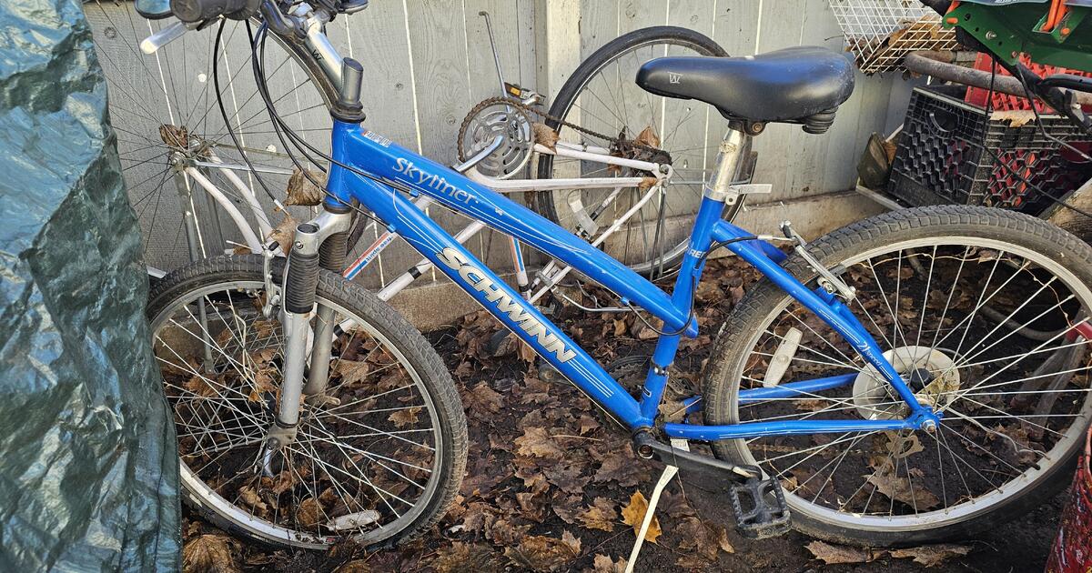 schwinn skyliner bike