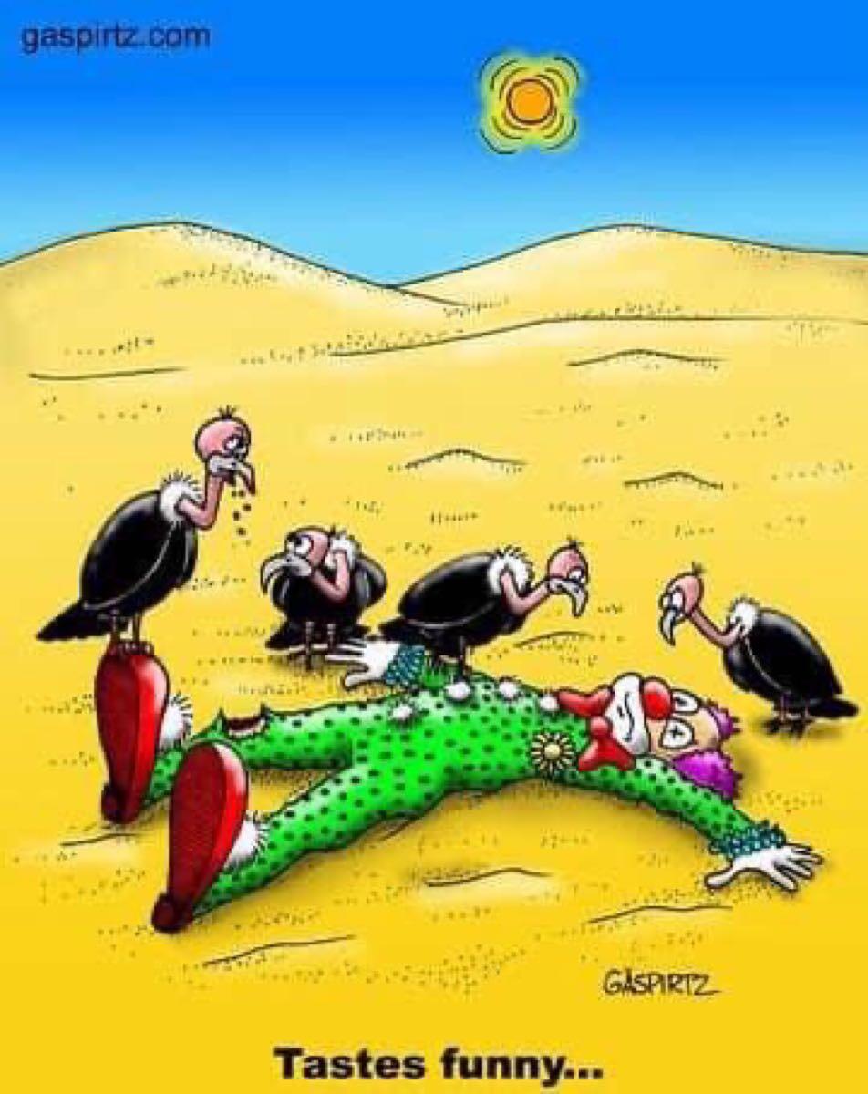 eb04f454bf2475d9e1442a81c7288290.jpeg?re