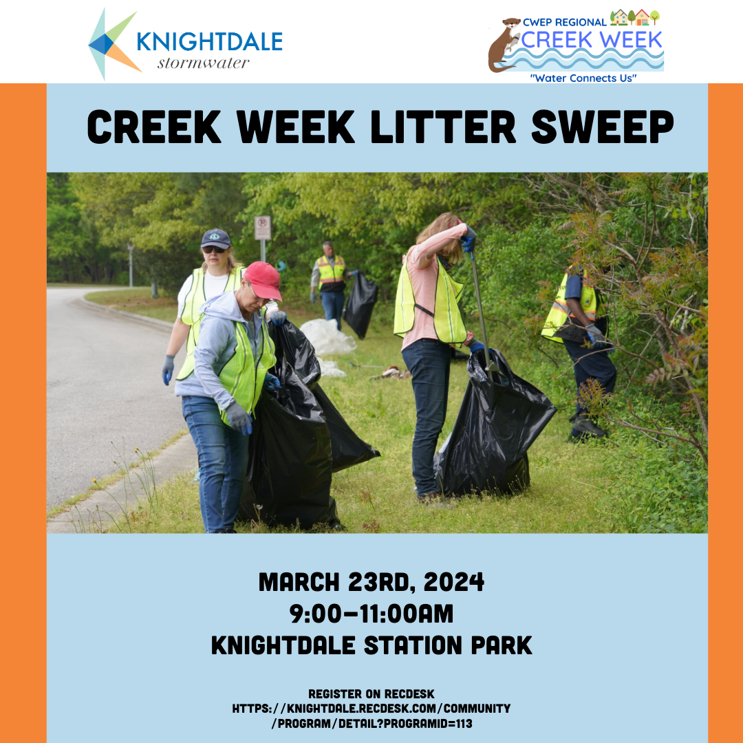 Creek Week 2024 Litter Sweep