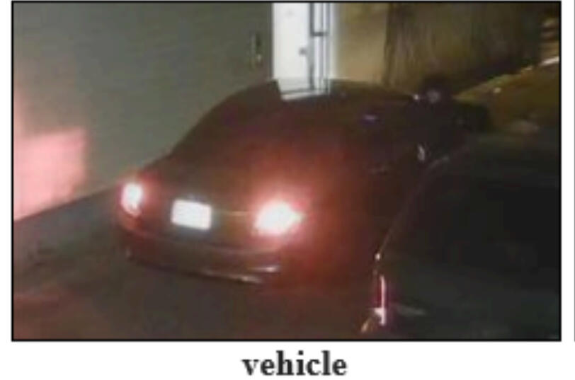 Police Seek Public’s Help Identifying Criminal Mischief Suspects ...