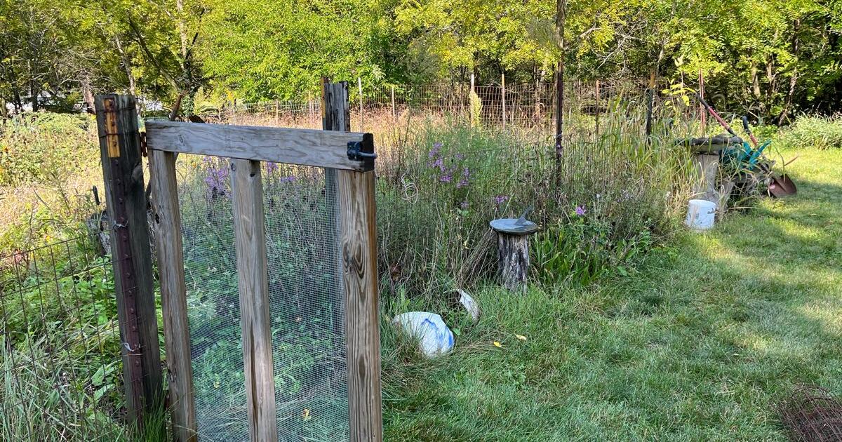 Garden fencing and posts for Free in Delafield, WI Finds — Nextdoor