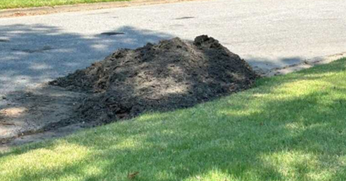 Mulch from tree stump grinding for Free in Memphis, TN For Sale