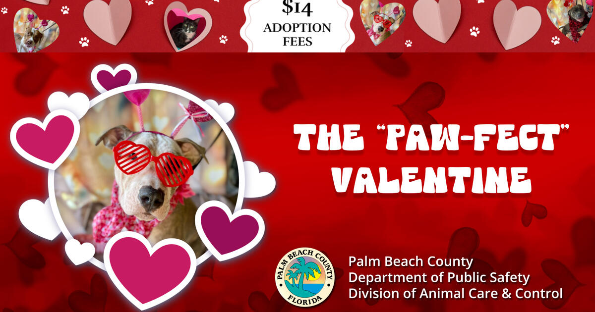 In celebration of Valentine’s Day, Palm Beach County (PBC) Department