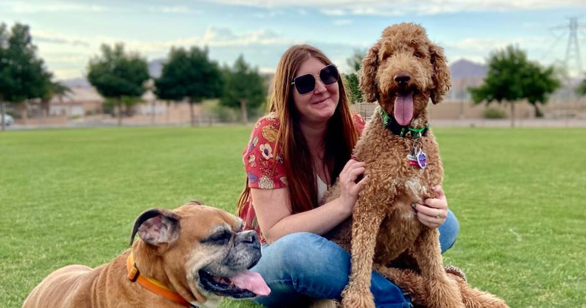 dog-sitter-dog-walker-for-20-in-las-vegas-nv-for-sale-free-nextdoor