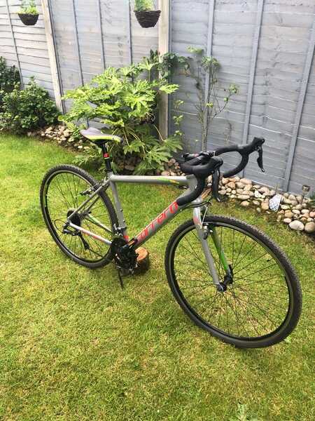 Carrera top crixus limited