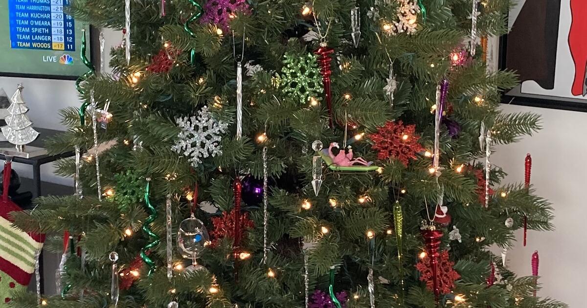 Christmas Tree for 50 in Leesburg, FL For Sale & Free — Nextdoor