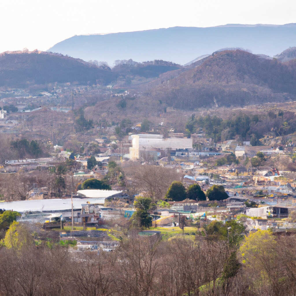 Bunch of Tall Men, Blountville News, Crime, Lost Pets, Free Stuff