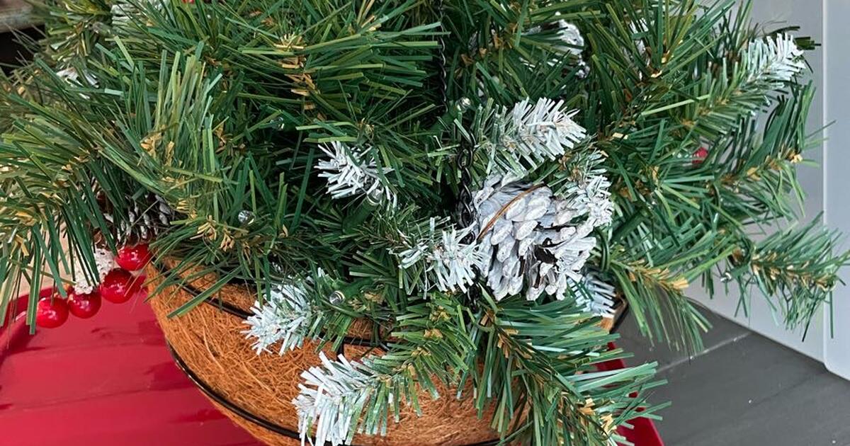 Christmas lighted hanging baskets for 20 in Hilton Head Island, SC For Sale & Free — Nextdoor