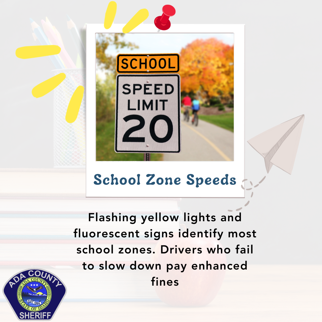 School is back in session, which means you're going to see a lot more