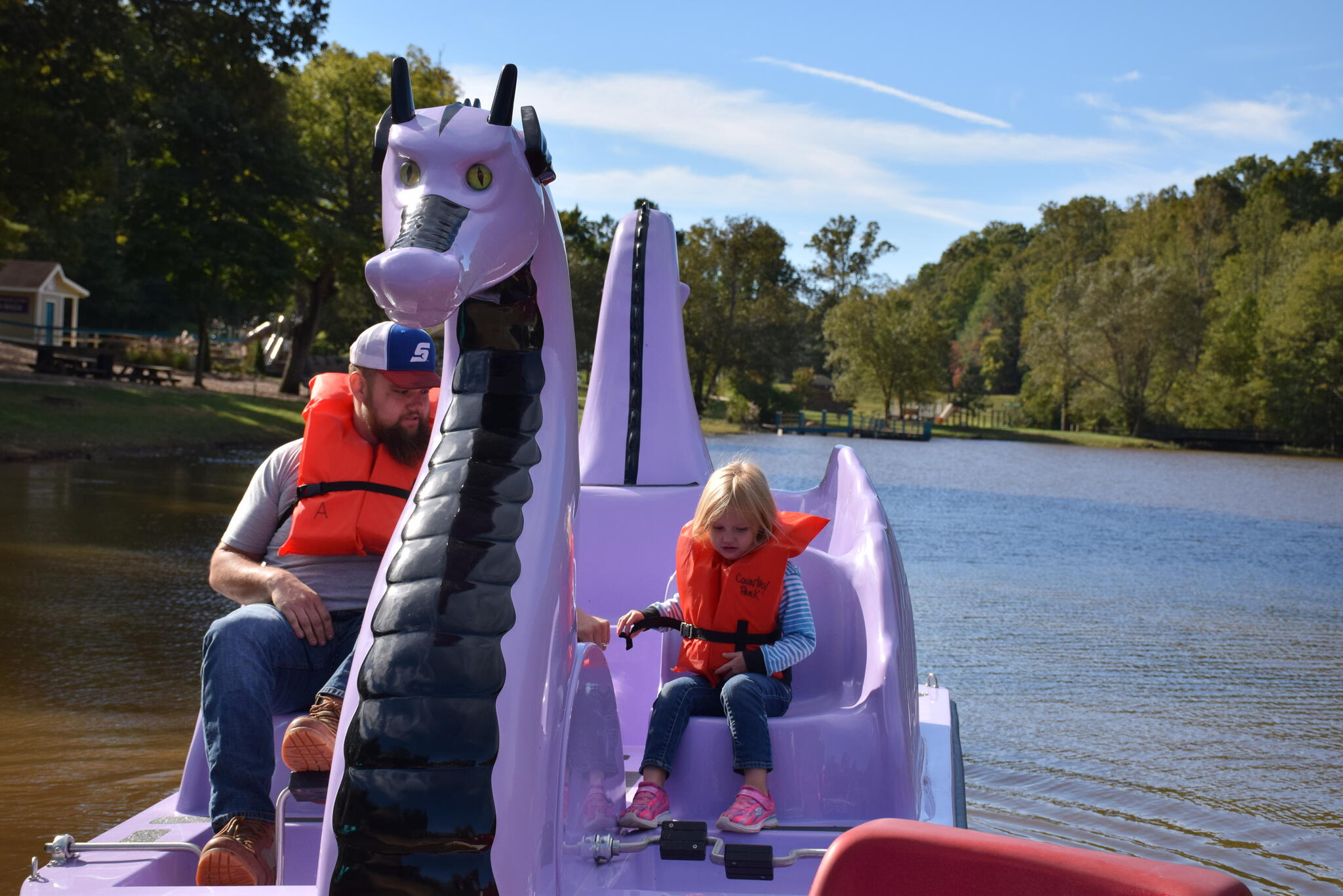 Country Park has new swan and dragon paddle boats! (City of Greensboro