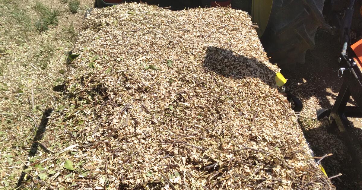 Woodchips/mulch for 20 in Chino Valley, AZ Finds — Nextdoor