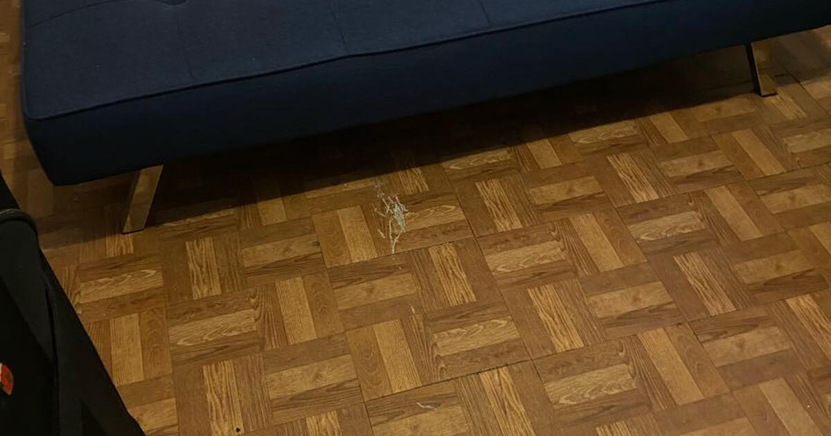 Futon for 100 in Dallas, TX Finds — Nextdoor