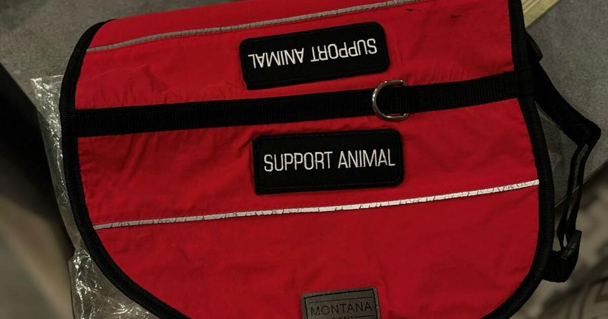 2-types-emotional-support-pet-collar-for-55-in-st-petersburg-fl