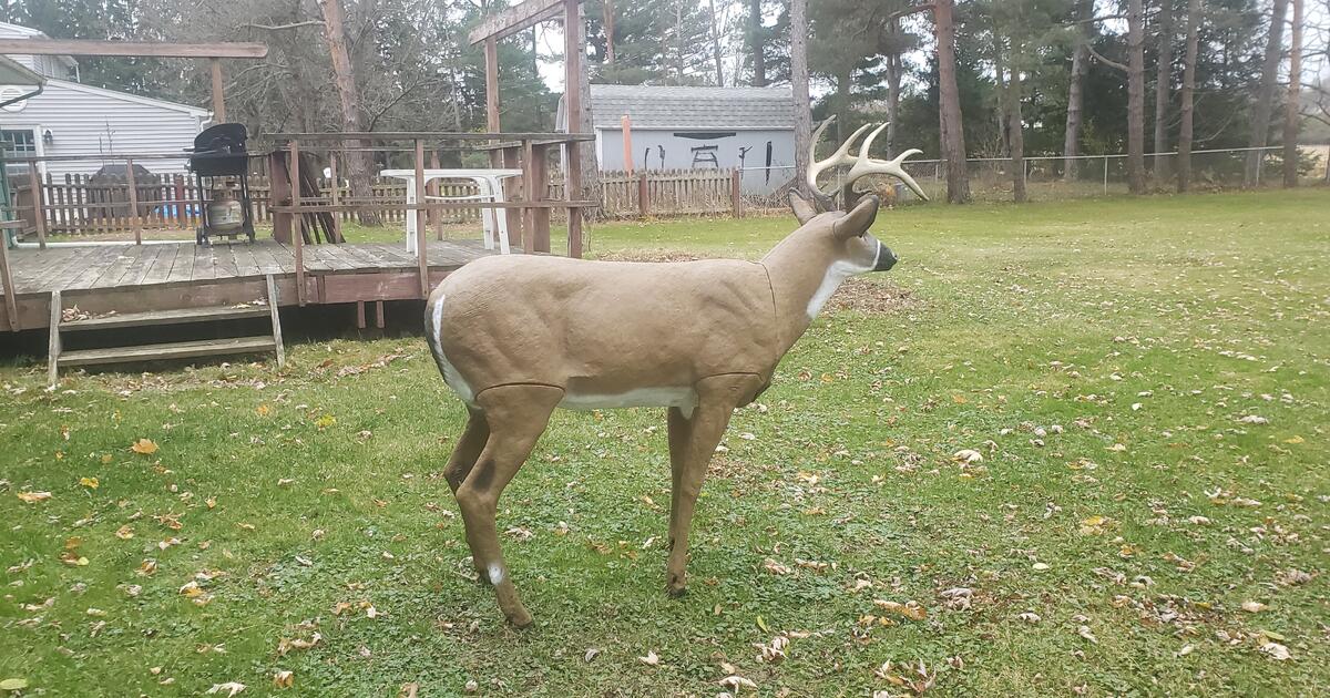 Deer Decoy for 90 in Orchard Park, NY For Sale & Free — Nextdoor