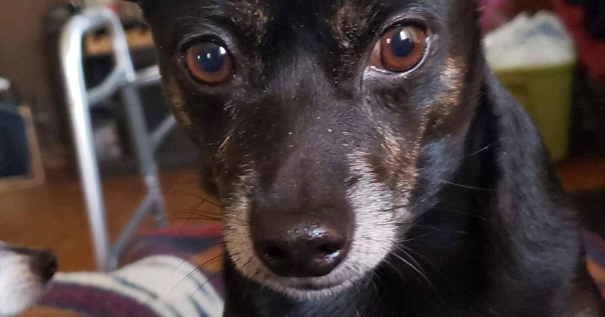 Curb Alert for Free in Appleton, WI For Sale & Free — Nextdoor