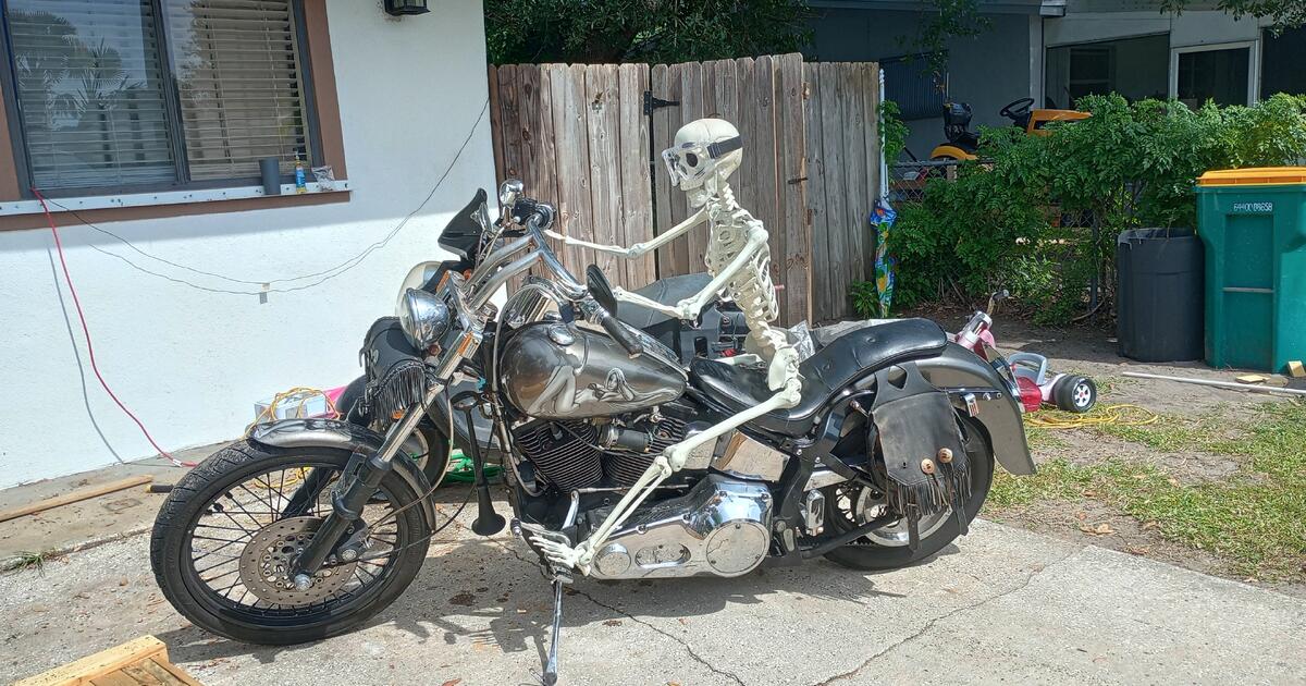 1990 Harley Softail for 3500 in Melbourne, FL For Sale & Free — Nextdoor