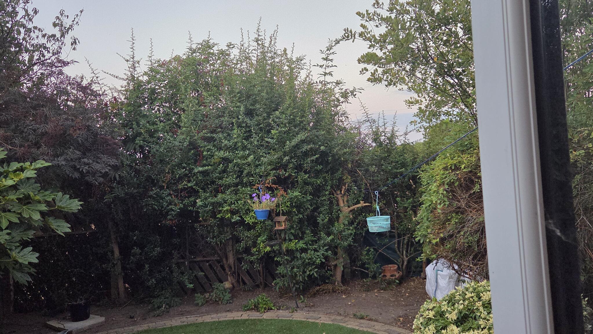 Catcliffe, Catcliffe | Everything You Need to Know