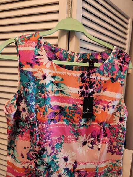 New Ronni Nicole Size 16 Sleeveless Dress For $12 In Sterling Heights, MI | For Sale & Free Nextdoor New Ronni Nicole Size 16 Sleeveless Dress For $12 In Sterling Heights, MI | For Sale & Free Nextdoor