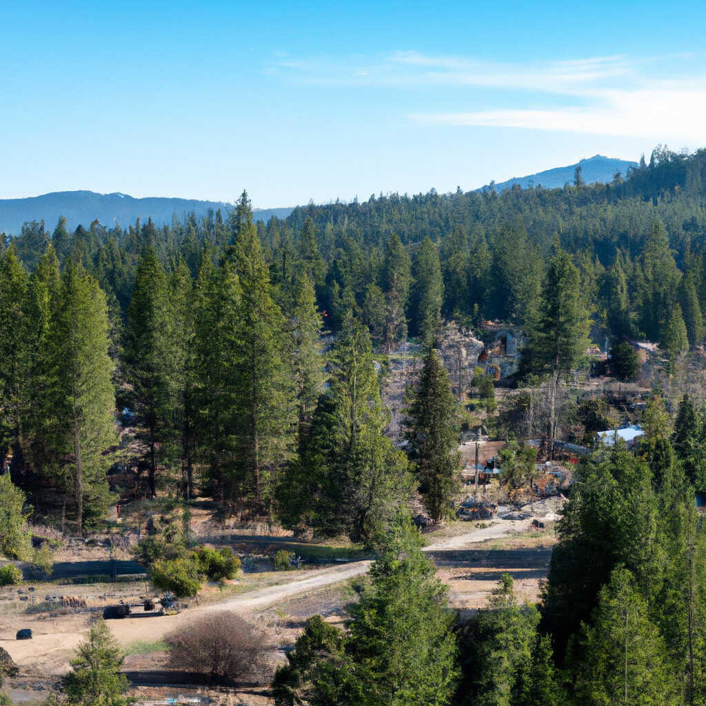 Confidence South Fork, Twain Harte News, Crime, Lost Pets, Free Stuff