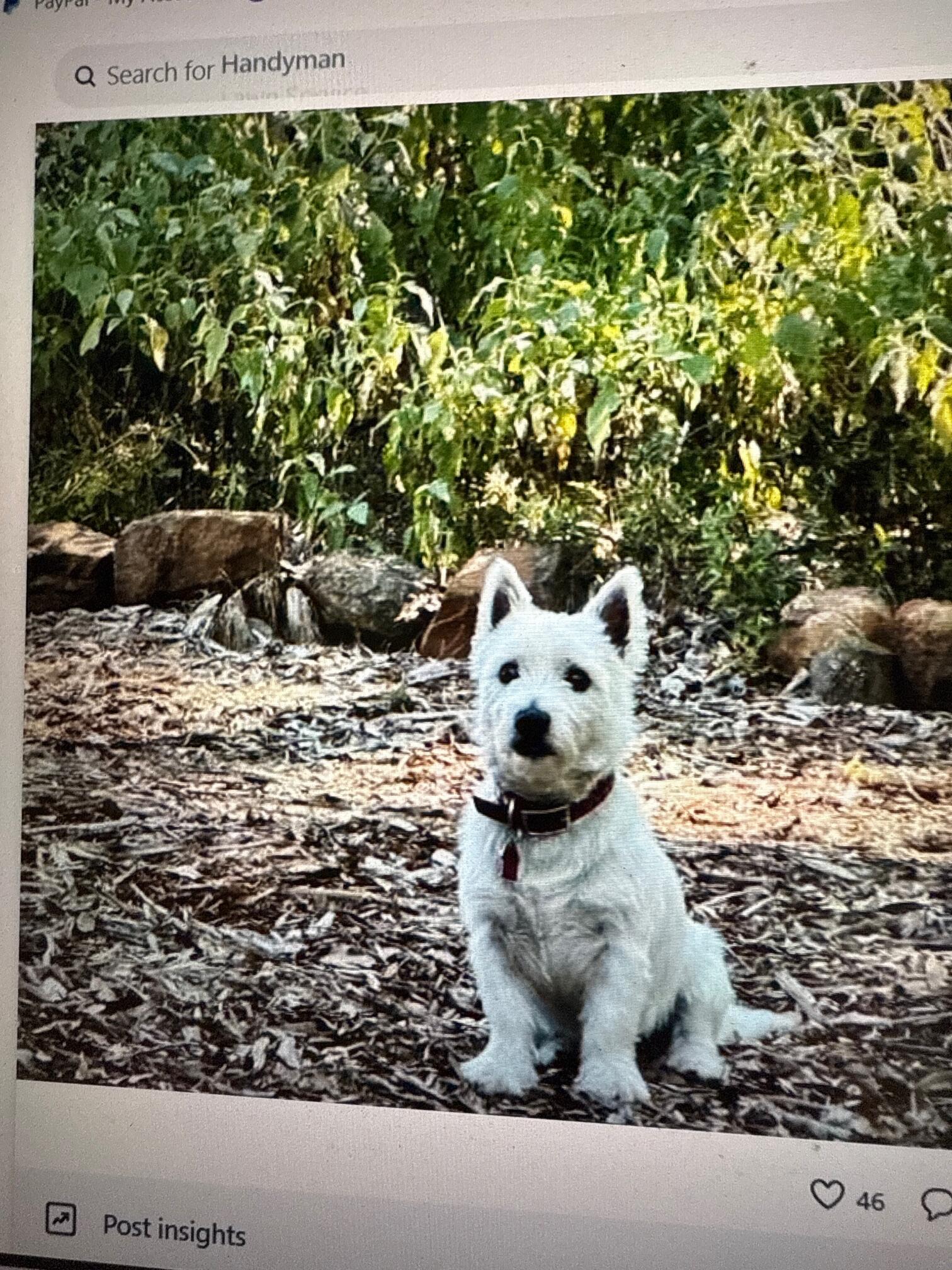 f053558d81dab19bb9ef91891a667835.JPG?req