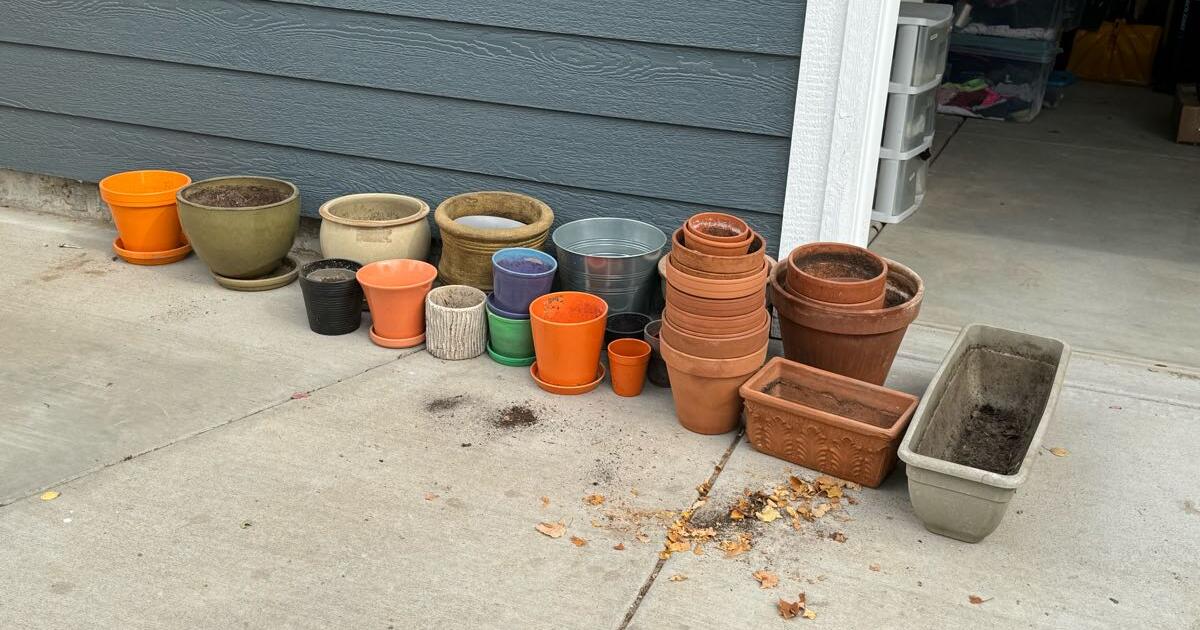 Plant pots for Free in Denver, CO Finds — Nextdoor