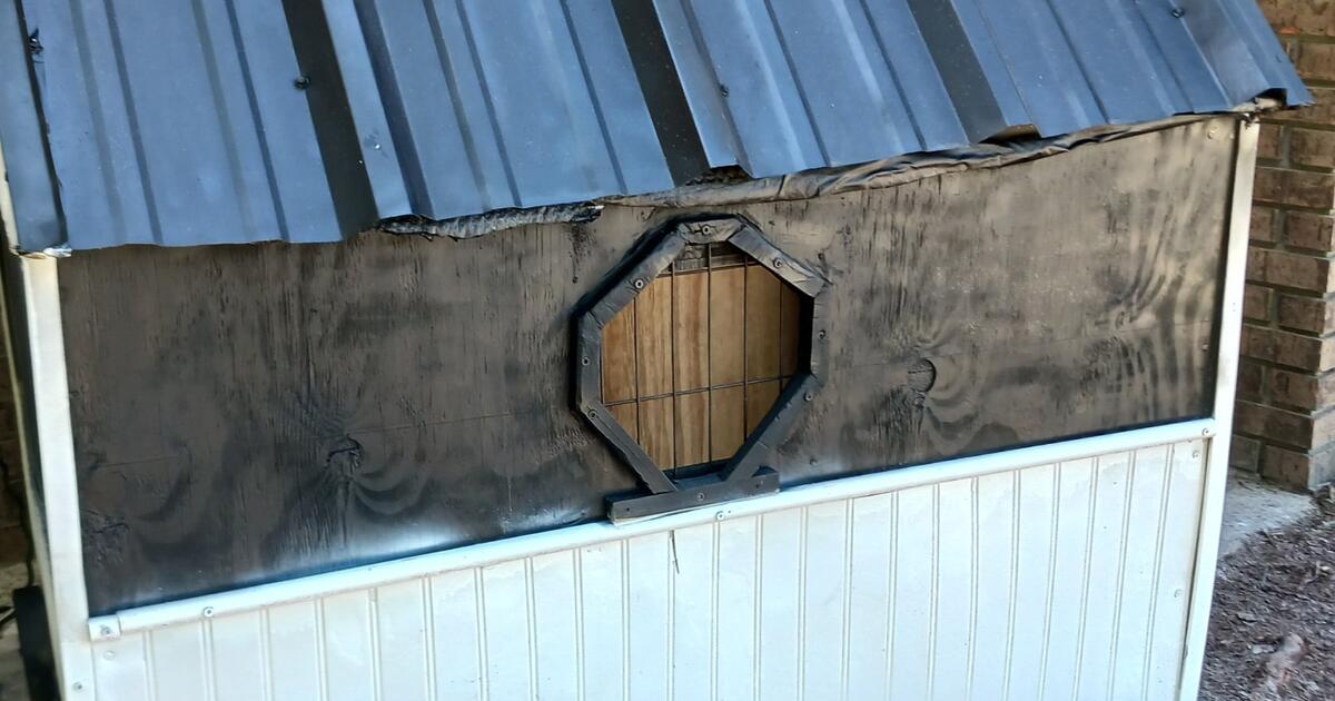 Customize Dog House in Gulfport, MS Finds — Nextdoor