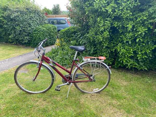 Raleigh pioneer 140 ladies bike best sale