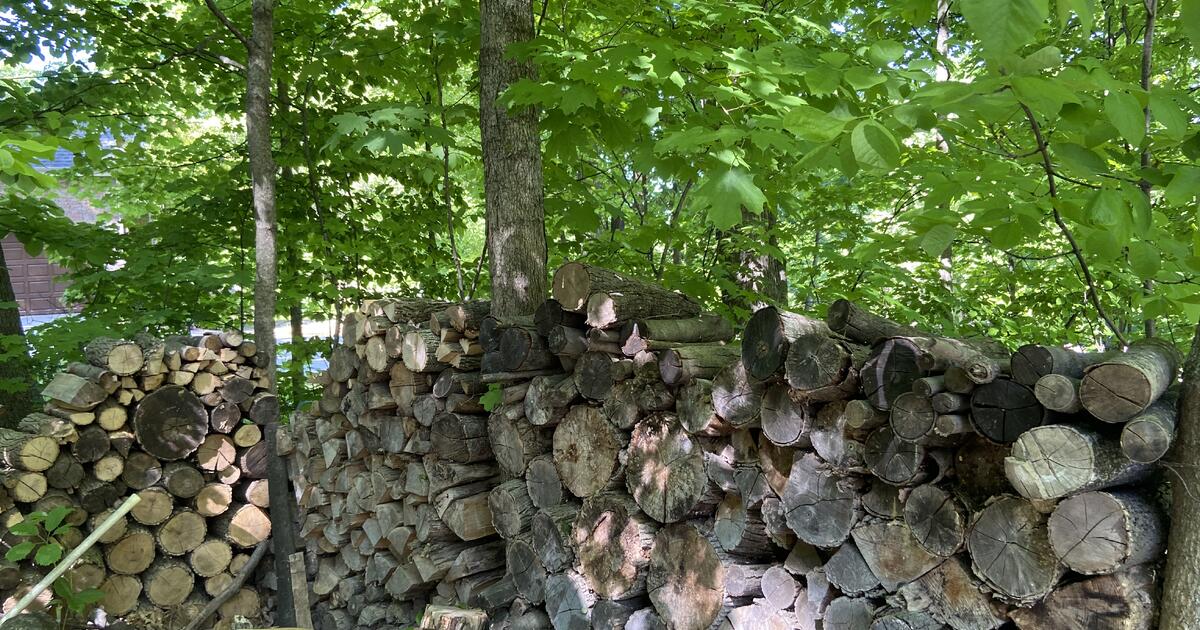 Firewood, about 2 face cord. 200. for Free in Brookfield, WI For