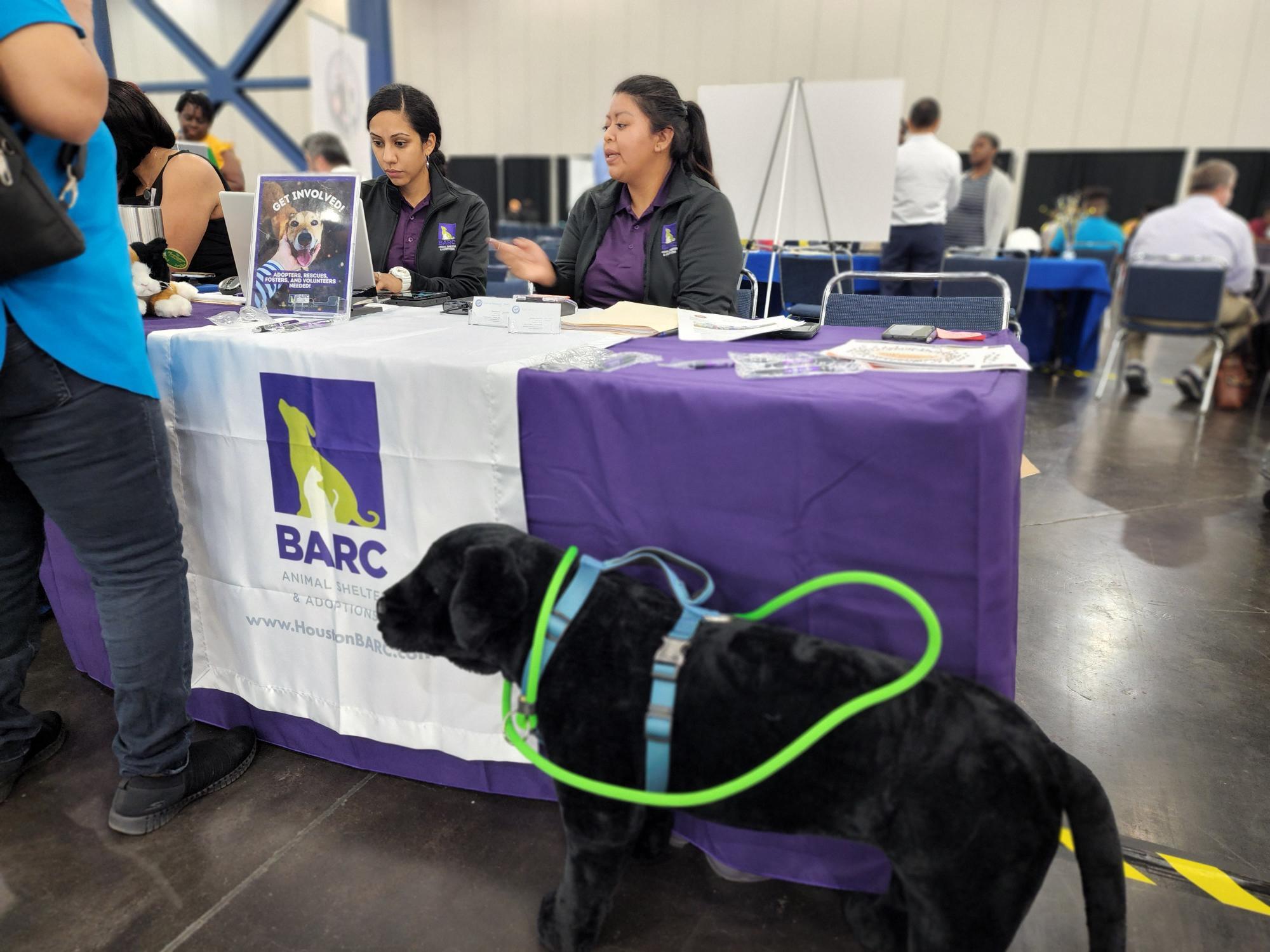 BARC is Hiring Apply to be an Animal Care Technician Today! (City of