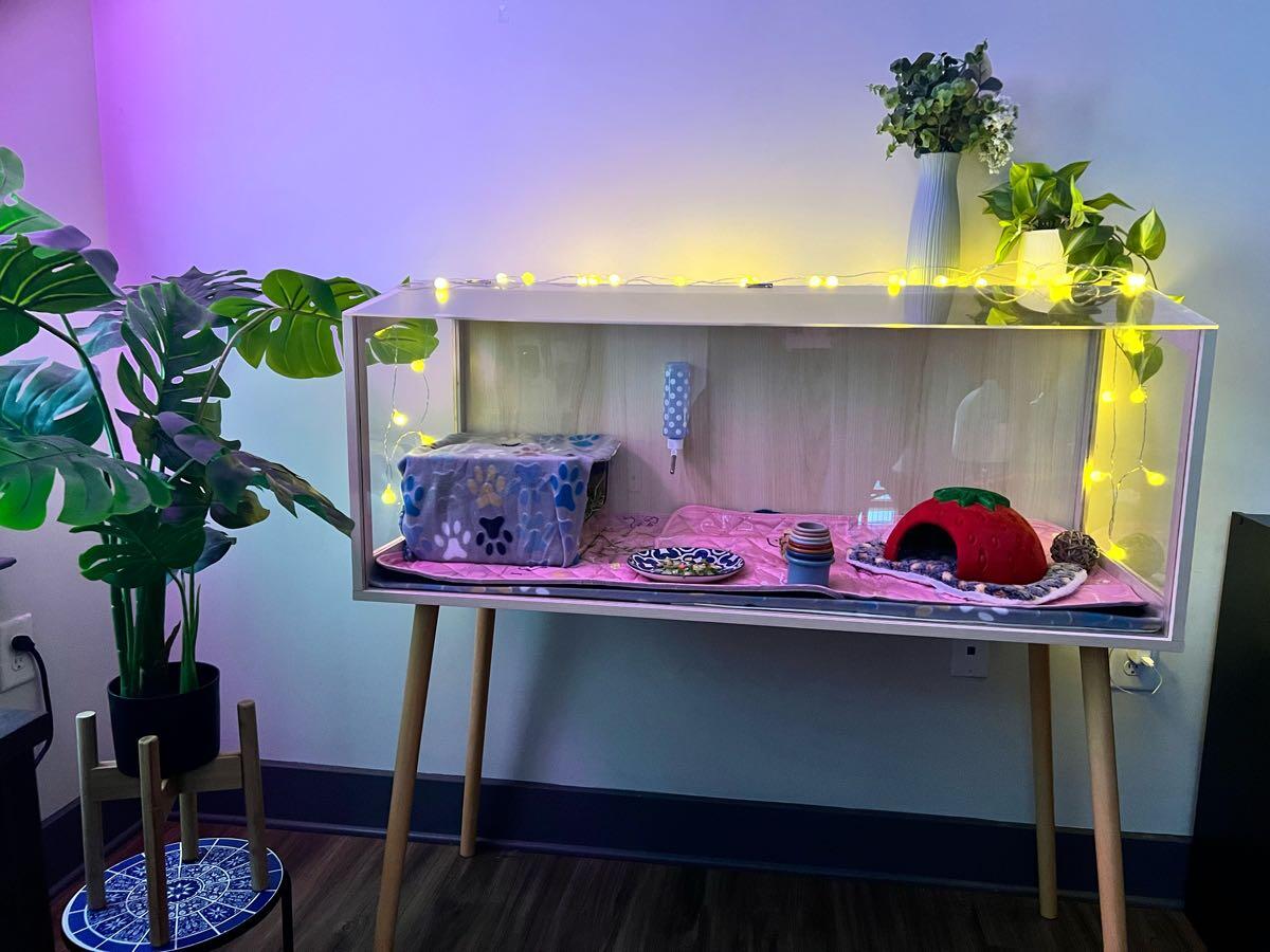 Small Animal Home
