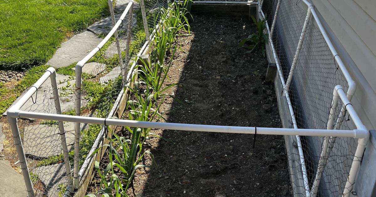 PICKED UP ALREADY FREE garden PVC railing to keep out bunnies for