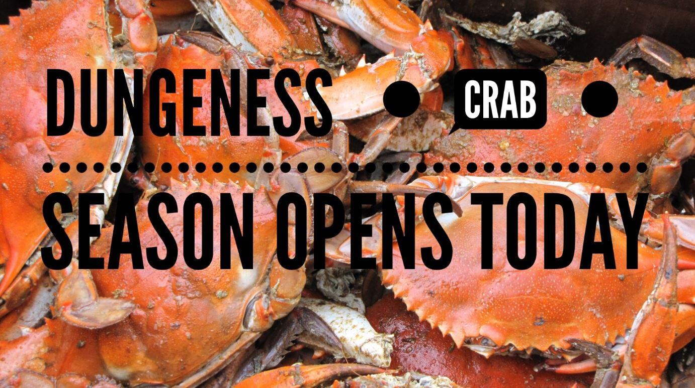 Dungeness Crab Season officially opens today! (San Francisco Police