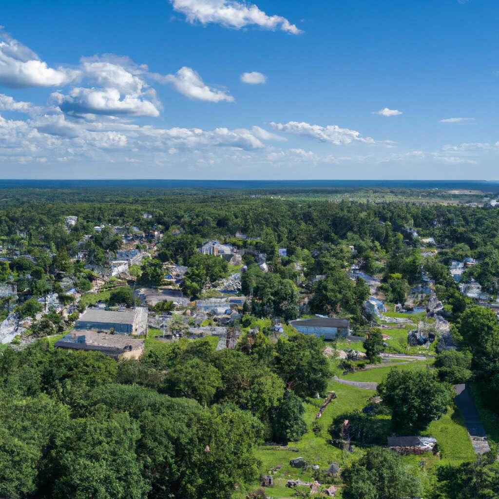 Mansion, Pine Hill News, Crime, Lost Pets, Free Stuff