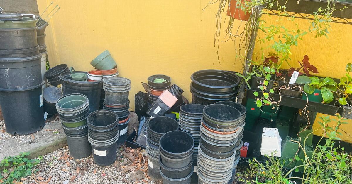 Free nursery pots! for Free in Oakland, CA For Sale & Free — Nextdoor