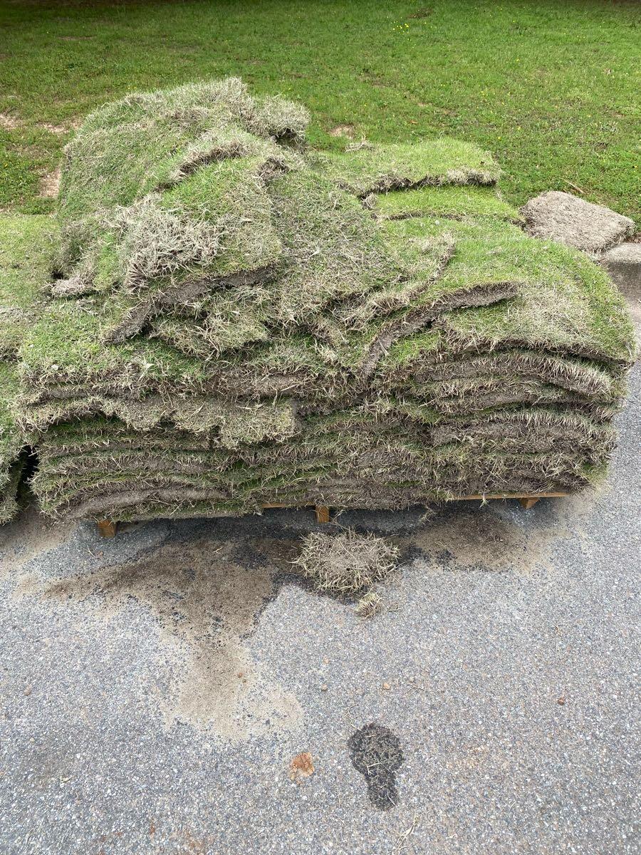 Sod Emerald Zoysia for 250 in Alpharetta, GA For Sale & Free