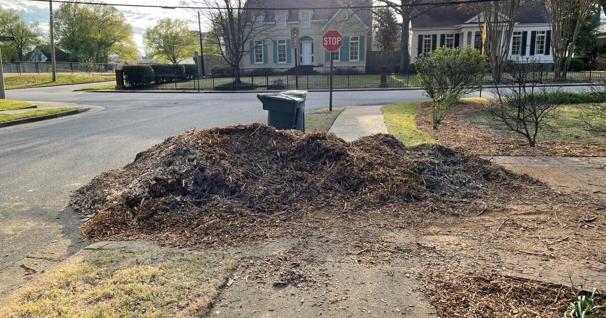 Free Wood Chips / Mulch for Free in Memphis, TN For Sale & Free