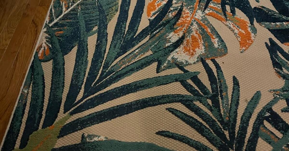 Rug for 40 in The Villages, FL For Sale & Free — Nextdoor