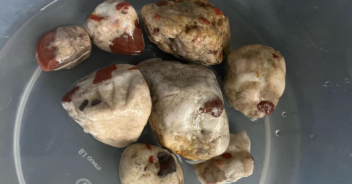 Over 2 pounds Pudding Stones from Michigan for 20 in Altamonte Springs