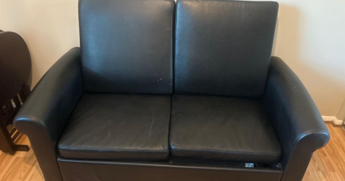 Pull out loveseat for 50 in Louisville, KY For Sale & Free — Nextdoor