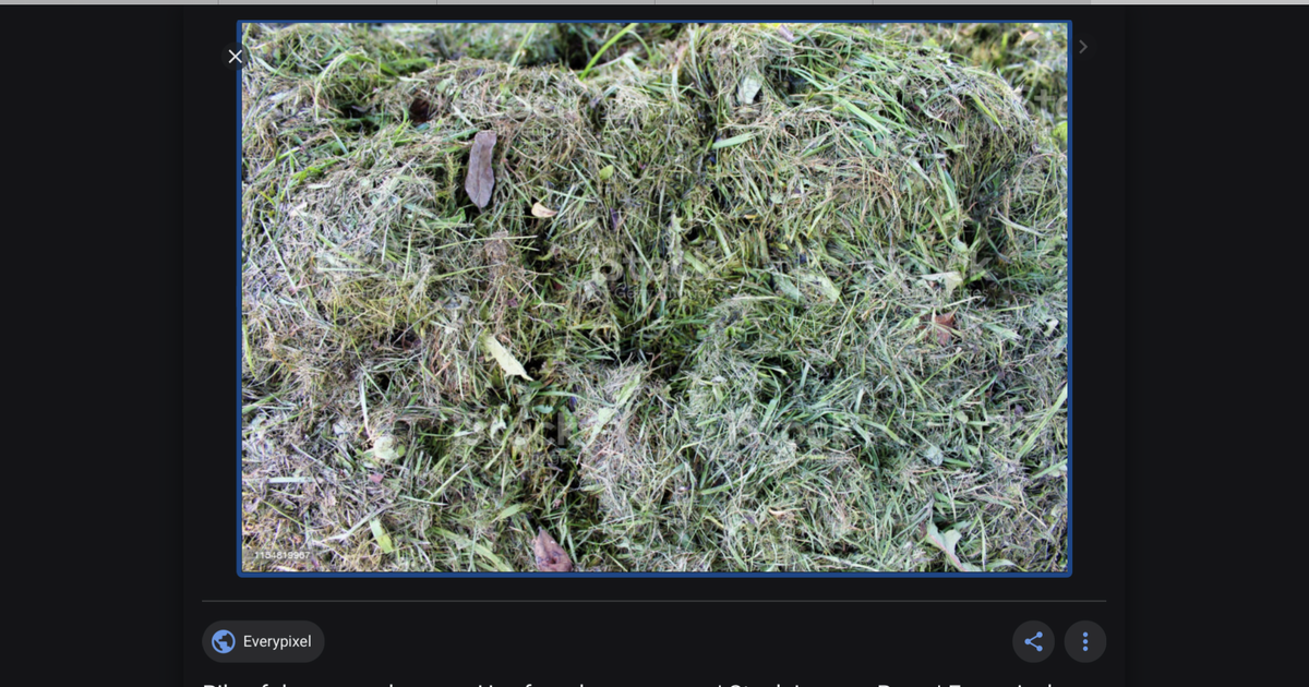 I am Looking for old straw bales and grass clippings for Free in Elkton